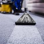 专业地毯清洁工具在行动